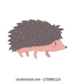 Hedgehog isolated on a white background. Vector graphics.