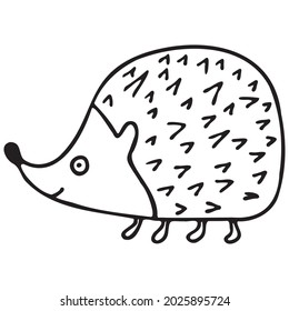 Hedgehog isolated on white background. Vector hand-drawn doodle illustration.