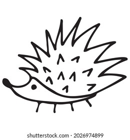 Hedgehog isolated on white background. Vector hand-drawn doodle illustration.