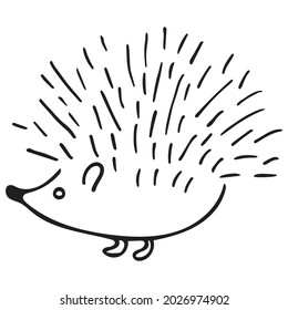 Hedgehog isolated on white background. Vector hand-drawn doodle illustration.