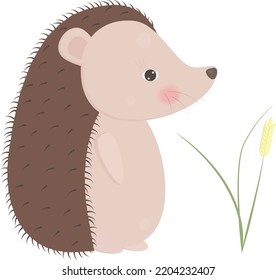 Hedgehog isolated vector illustration for decor