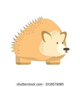 hedgehog jungle animal in cartoon abstract design vector illustration