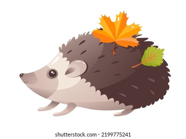 Hedgehog mit Blättern auf Nadeln. Ein Waldtier. Cartoon, Vektorgrafik auf weißem Hintergrund