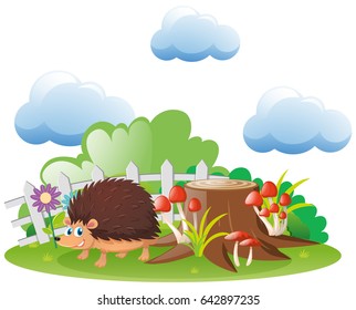 Hedgehog living in the garden illustration