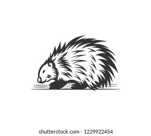 Hedgehog Logo Designs Stock Vector (Royalty Free) 1229922454 | Shutterstock