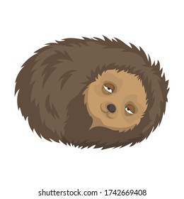 The hedgehog is lying with his eyes slightly open .Cute forest animal. Winter hibernation of hedgehogs.Time for bed.Cartoon vector illustration isolated on white background.