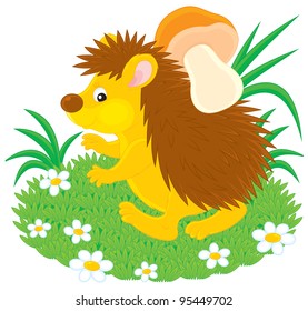 Hedgehog with a mushroom