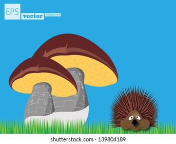 Hedgehog and mushrooms