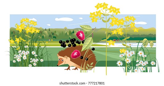 Hedgehog Nature Grass Flowers Vector
