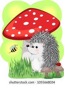 hedgehog near a red fly agaric