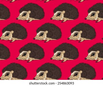hedgehog neon red