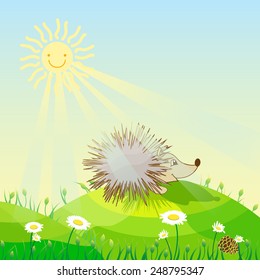 Hedgehog on a sunny meadow sunshine daisies bloom