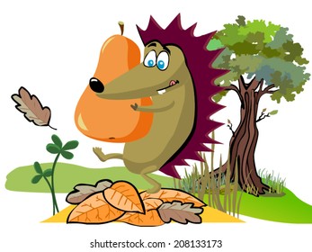 hedgehog on work