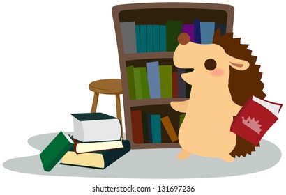 Hedgehog to organize the bookshelf