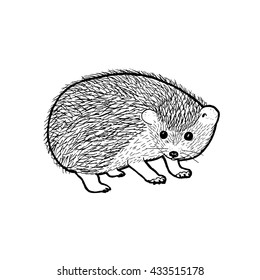 Hedgehog. Outline vector illustration.