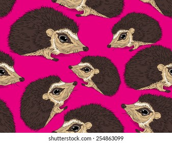 hedgehog pink