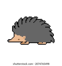 Hedgehog pixel art. pixelated small animal with needles on its body. 8 bit