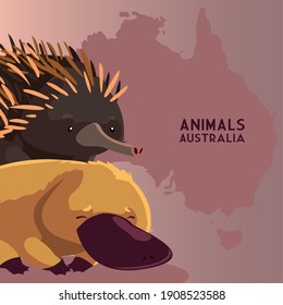 hedgehog y platypus australian mapa del continente de fauna y flora silvestres