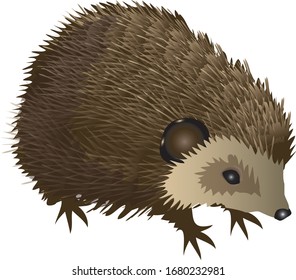 Hedgehog Cartoon Images, Stock Photos & Vectors 