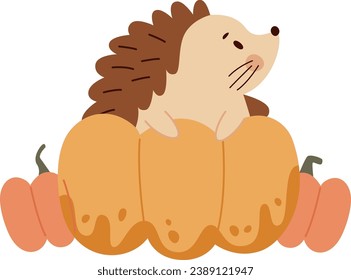 Hedgehog With Pumpkins Vector Illustration