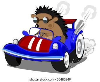 hedgehog the racer