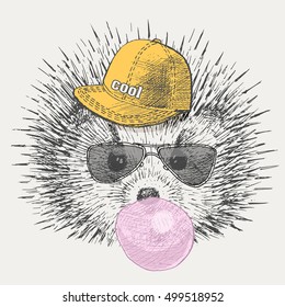 hedgehog is a rapper hat and sunglasses inflate chewing gum. print on t-shirt.vector