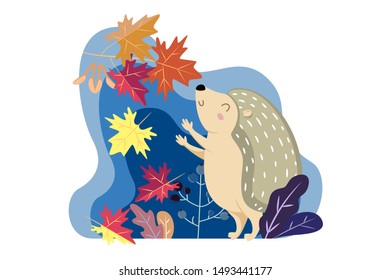 hedgehog reaches for the maple tree branch with colorful leaves. Flat style. Vector