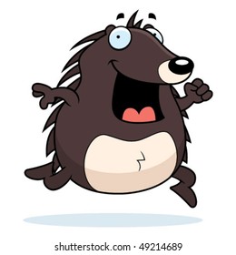 Hedgehog Running