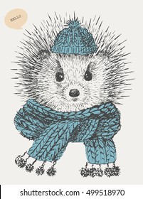 hedgehog in scarf and hat. vector. print on t-shirt