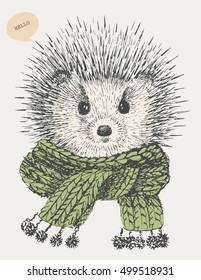 hedgehog in the scarf. vector. print on t-shirt