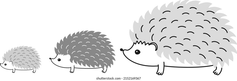 Hedgehog puesto en varias poses