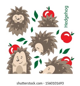 Hedgehog. Set of vector images. Different poses. Wild forest animals