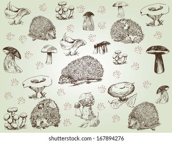 hedgehog. set of vector sketches