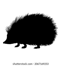 Hedgehog Silhouette Black Vektor Illustration auf weißem Hintergrund