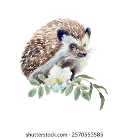 Hedgehog sitting with green twig and white flower, watercolor. Vector illustration of forest animal. Cards, covers, labels, wildlife protection day.