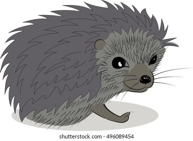 Hedgehog sketch drawing isolated on white background. Image graphic style of hedgehog.