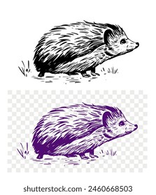 Hedgehog, sketch, engraving style. Hand drawn set, vector illustration, black outline