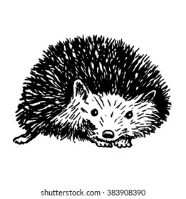 Black White Linear Paint Draw Raccoon Stock Illustration 606429470