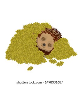 Hedgehog Sleeps Under A Layer Of Leaves.Cute Forest Animal. Winter Hibernation Of Hedgehogs.Cartoon Vector Illustration.