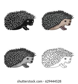 Hedgehog small grisun.U hedgehog on the back of needles.Nosik at the hedgehog black.Animals single icon in cartoon style vector symbol stock illustration web.