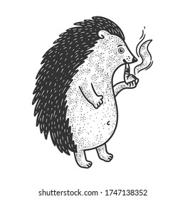 hedgehog with smoking pipe sketch engraving vector illustration. T-shirt apparel print design. Scratch board imitation. Black and white hand drawn image.