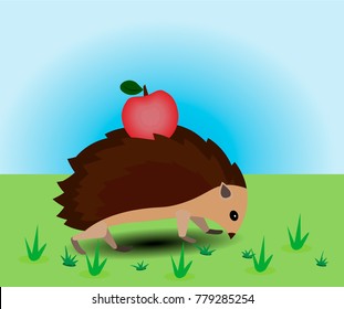The hedgehog strolls through the meadow.