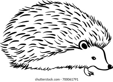 Hedgehog Stylization Icon Logo Line Sketch Stock Vector (Royalty Free ...