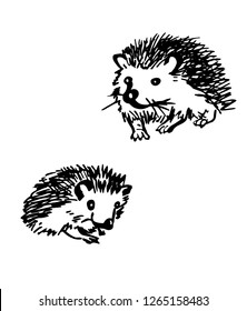 Hedgehog. Stylized drawing set