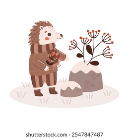 Hedgehog em suéter, calças, cachecol e rowan holly branch. Caráter ou mascote de animal de floresta de inverno plano. Composição vetorial em fundo transparente para cartões, scrapbooking, animação.
