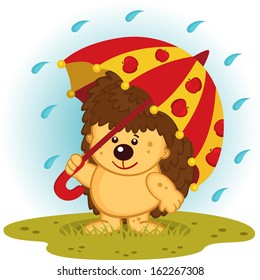 hedgehog with umbrella in rain -  vector illustration