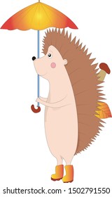 Hedgehog under an umbrella autumn vector illustration