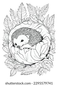 Hedgehog vector coloring book black and white for adults isolated line art on white background.