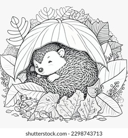 Hedgehog vector coloring book black and white for adults isolated line art on white background.