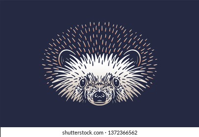 Hedgehog Vector Illustration